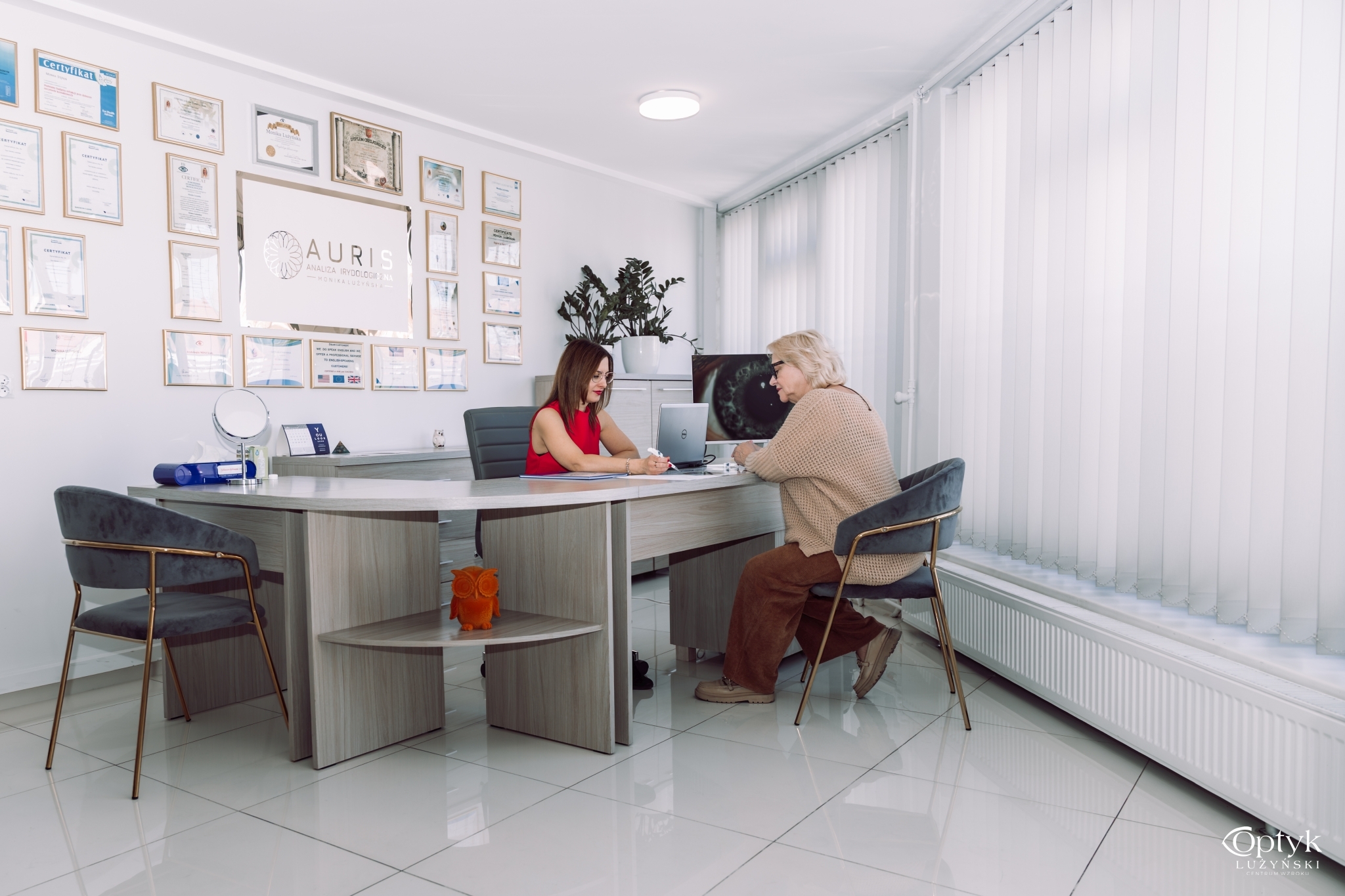 Zdjęcie tęczówki oka na ekranie — diagnostyka irydologiczna